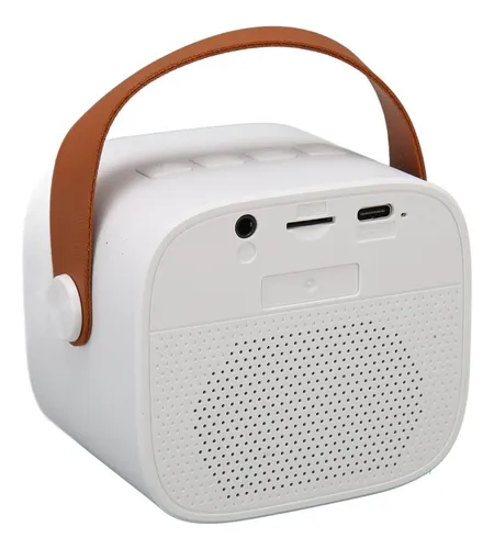 Parlante Bluetooth Karaoke 1 Micrófono Mini Altavoz Blanco