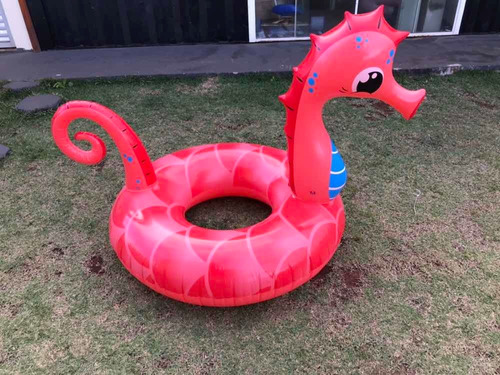 Boia Gigante Cavalo Marinho Promoção Especial 1.10 X 1.00 Mts