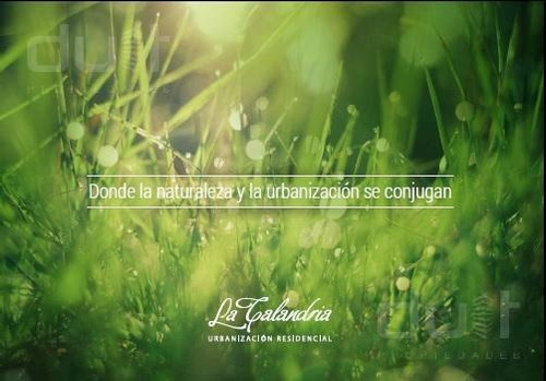 Imagen 9 de 15 de Terreno 360 Apto Duplex En Venta - La Calandria