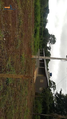 Chácara Com 3 Dormitórios À Venda, 3000 M² Por R$ 220.000 - Zona Rural - Pirenópolis/go - Ch0100