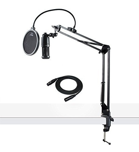 Audiotechnica At2020 Condensador Microfono De Estudio Con Ca