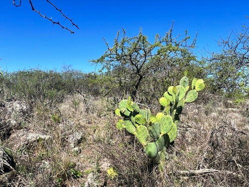 Venta De Lote Barrio Semi Cerrado Piedra Alpa - Cerro Pelado - Inv0126