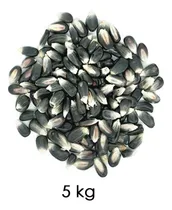 Comprar Maíz Azul Semillas Orgánicas 5 Kg