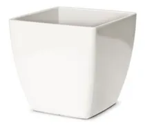 Comprar Kit 20 Vasos Vasinho Para Suculentas Planta Flores