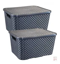 Comprar Set 2 Cajas Organizadoras Simil Rattan 20 Lts Negra Arqplast