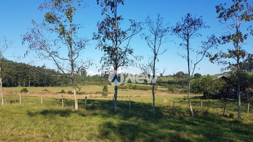Imagem 3 de 25 de Chácara Com 3 Dormitórios À Venda, 870000 M² Por R$ 7.000.000 - Bairro Imigrantes - Capela De Santana/rs - Ch0085