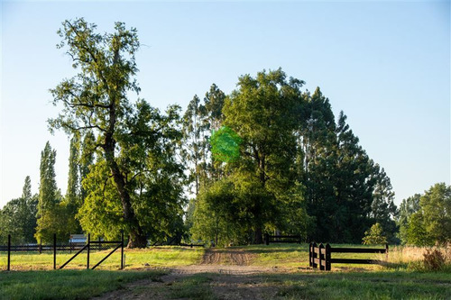 Espectaculares Parcelas Agrícolas En Venta En Río Bueno