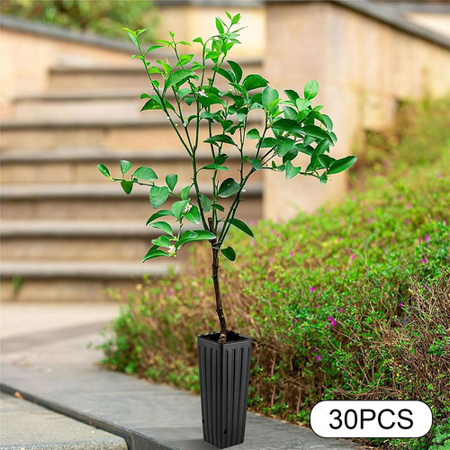 30 Piezas De Altura De De Planta De Planta De Planta De