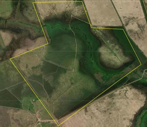 Campo De 346 Has En Treinta Y Tres. Agrícola - Ganadero!