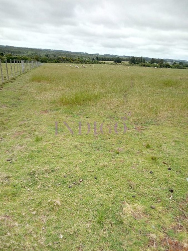 Imagen 18 de 22 de Chacra De 10hta Muy Completa - San Carlos San Carlos