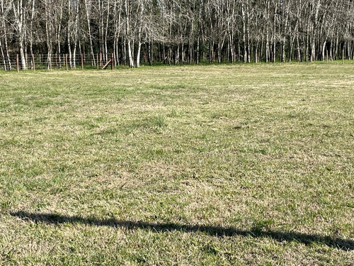 Lotes En Paraje Don Cipriano