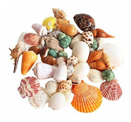 90 Conchas Marinas Mixtas De Playa, Coloridas Conchas Natura