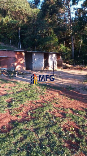 Imagem 7 de 13 de Chácara Em Piedade - 7135