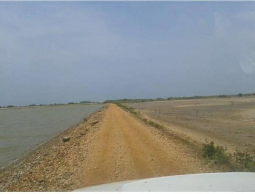 Imagen 6 de 13 de Terreno En Venta En San Juan De Los Cayos Falcón Mm