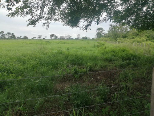 Imagen 3 de 17 de De Oportunidad Vendo Finca En El Cantón 283 Hectáreas Ah
