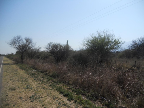 Imagen 13 de 14 de Campo En Venta De 53000m2 Ubicado En La Paz Cordoba. A 15 Kms Merlo (s.l)