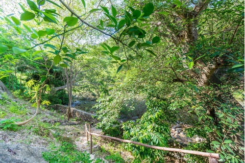 Imagen 4 de 13 de Lote Rio