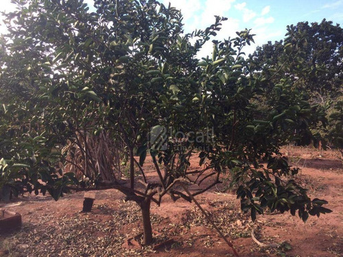 Imagem 8 de 18 de Chácara Com 4 Dormitórios À Venda, 1000 M² Por R$ 650.000 - Chácara Recreio Nossa Senhora Do Líbano (zona Rural) - São José Do Rio Preto/sp - Ch0078