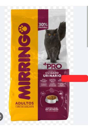 Arena Para Gatos Catpaw Catspaw Cat'spaw Capaw Cats Paw