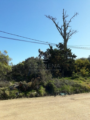 Imagen 3 de 3 de Terreno Próximo A La Costa En Piedras Del Chileno - Punta Del Este Piedras Del Chileno