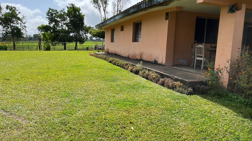 Imagen 12 de 25 de Bella Finca Operativa Ubicada En El Palmar, Estado Bolivar
