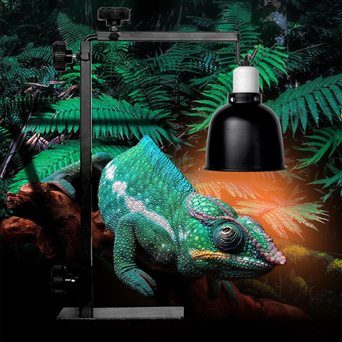 Soporte De Luz Para Reptiles, Soporte De Lámpara De S