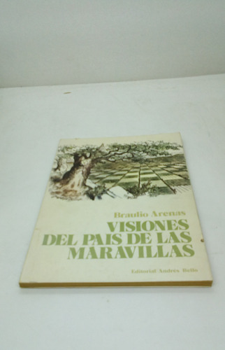 Visiones Del País De Maravillas.