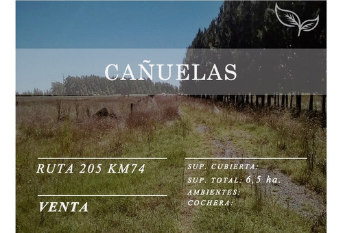 6,5 Has | Ruta 205 | Km 74 | Cañuelas | Unico Dueño