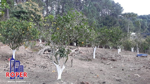 Chácara De 9.749 Metros Com Piscina E Três Lagos À Venda Em Aruja. - Ch00899 - 68409651