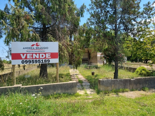 Venta Casa 3 Dormitorio Y Local Comercial A Reciclar 