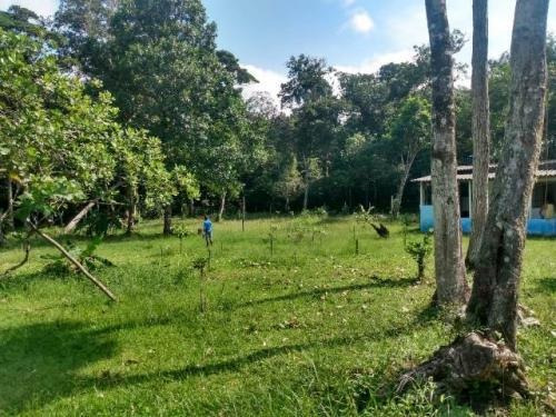 Imagem 2 de 10 de Boa Chácara No Jardim Coronel Em Itanhaém