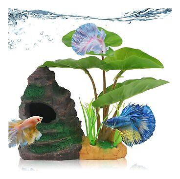 Coospider Betta Fish Leaf Pad Hammock Aquarium Decoratio Ssb