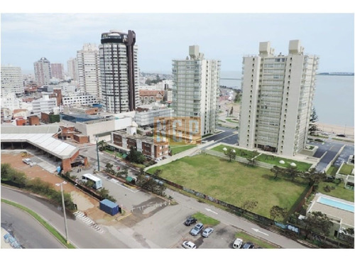 Imagen 15 de 30 de Torre De 5 Estrellas, A Pasos De Av Gorlero, Espectacular Apartamento A Estrenar De Dos Dormitorios En Suite, Baño Social, Living Comedor,cocina