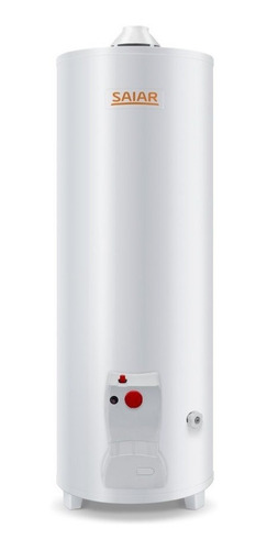 Termotanque A Gas De Pie Saiar By Rheem 80 Litros Tpg080msa