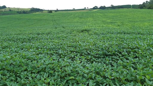 Imagem 2 de 16 de Fazenda 200 Hectares De Café No Municipio De Machado 12.000,000,00 - 39055