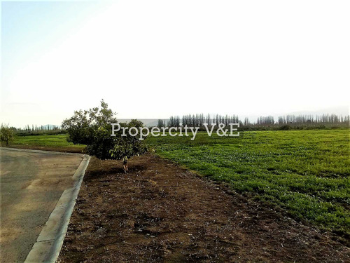 Parcela Urbaniza, Santa Matilda, Liray (95534)