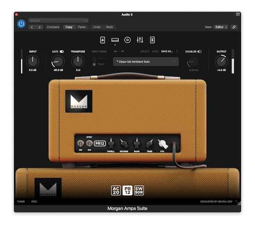 Neural Dsp Morgan Amps