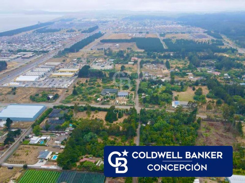 Villa Italia 9.000 M2, Prc Destino Mixto. Permite Lotear