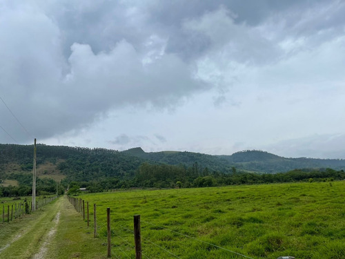 Imagem 4 de 14 de N20- Terrenos 1.000m2 Jacarei Esta Acabando Ainda Da Tempo