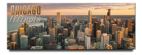 Iman Panoramico Chicago Para Nevera Illinois Travel Souvenir