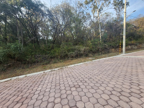 Venta Lote Gladiola 34 Cerca De Acceso Con Vistas Panorámicas Y Todos Los Servicios Inlcuyendo Proyecto En Fracc Rancho San Diego Ixtapan De La Sal Edomex