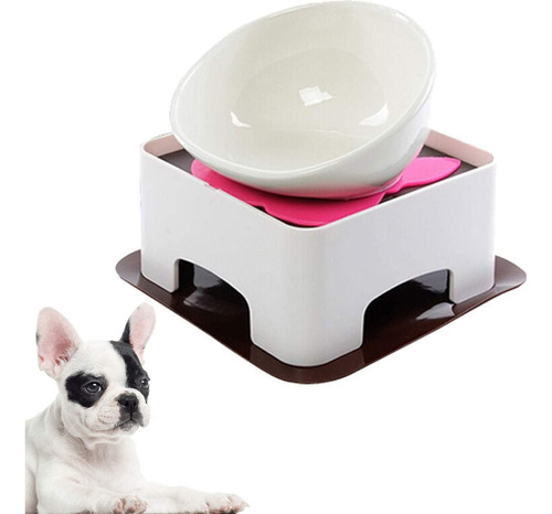 Bowl Tazon De Ceramica Para Perros Â Plato Para Perros Y Gat