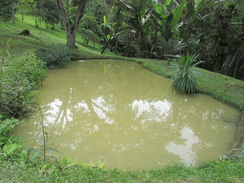 Juquitiba/chácara Com Lago/piscina/pomar/gramada/ Ref: 04731