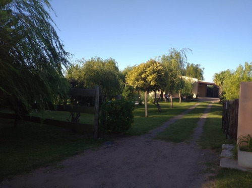 Imagen 3 de 24 de Casa En Venta 9 De Julio