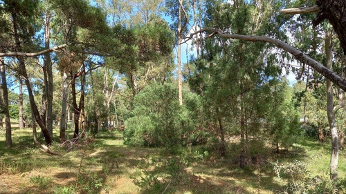 Imagen 5 de 17 de Lote En Venta En La Barra (ref: Atm-6651)