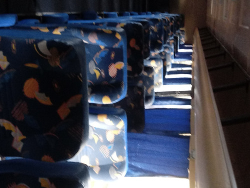 Onibus Nielson Diplomata 350