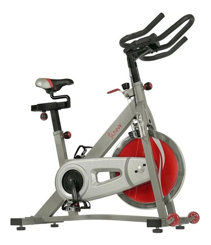 Bicicleta fija Sunny Health & Fitness Pro II SF-B1995 tradicional color gris