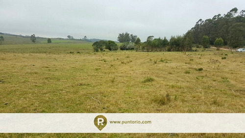 Punto Río | Campo En Castillos