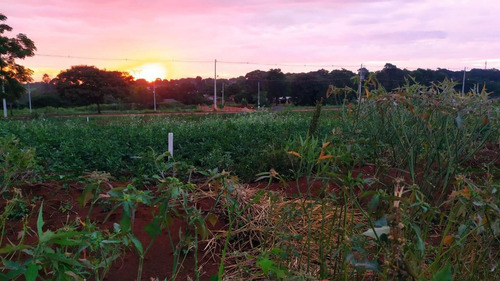 Imagem 12 de 15 de Terreno À Venda, 300 M² Por R$ 50.000,00 - Loteamento Universitário Das Américas - Foz Do Iguaçu/pr - Te0456