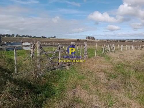 102 Hectáreas En Canelones